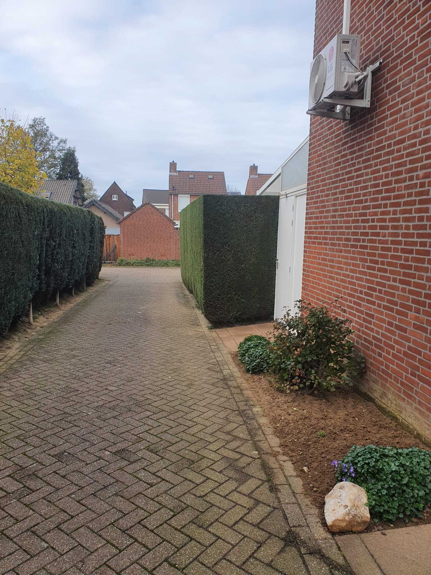 Project Houtem Coniferen Strak Snoeien Onderhoud