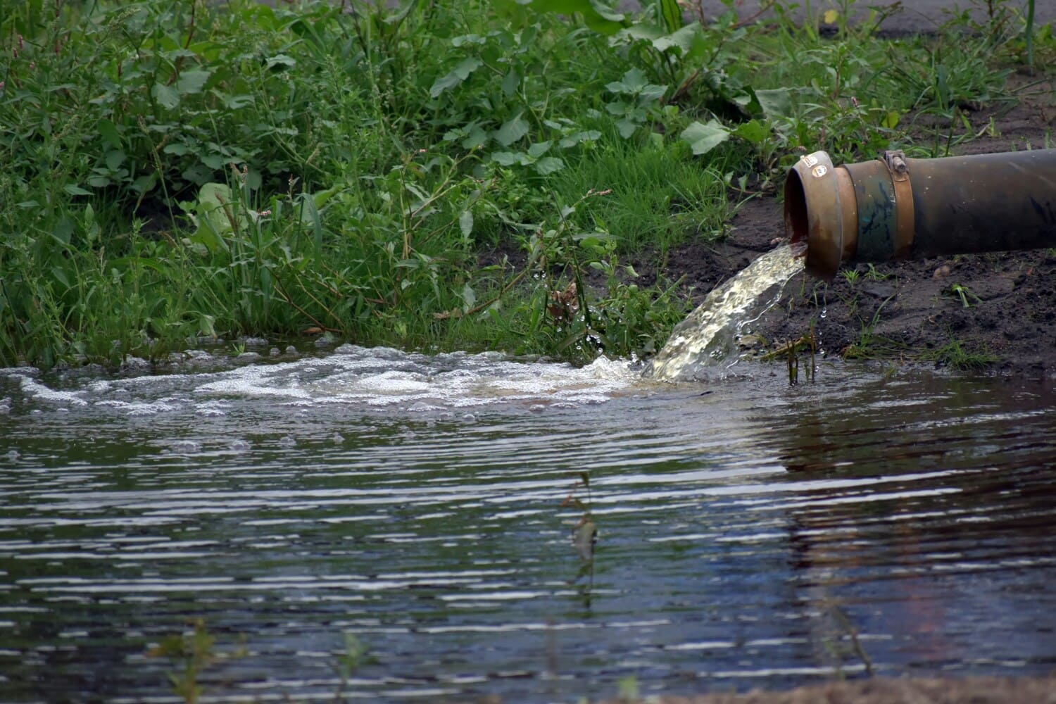 Water & Afwatering door Rosatuinen hovenier