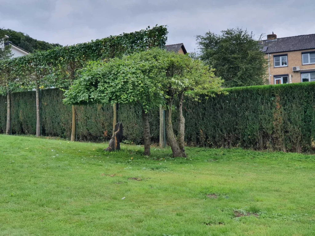 Houtconstructie laten realiseren?