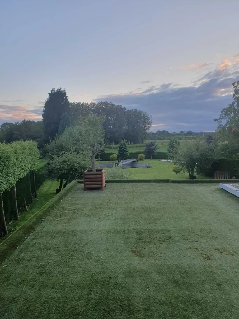 Bomen laten snoeien in Limburg? Wij staan voor u klaar.