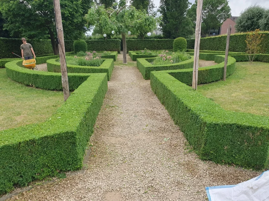 Boomverzorging in Maastricht, Rosatuinen Hovenier
