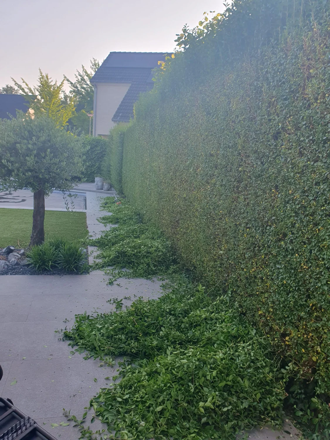 Uw tuin laten onderhouden in Meerssen?
