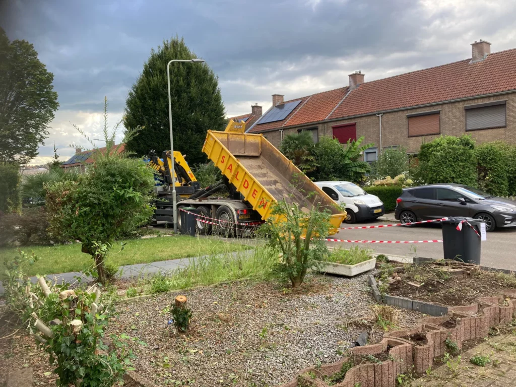 Boomverzorger Maastricht, Rosatuinen bomen snoeien